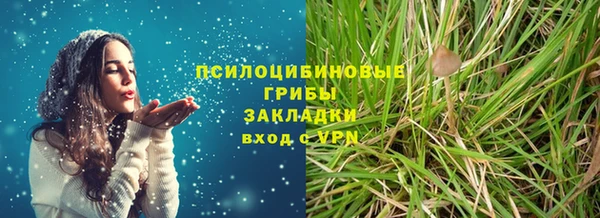 амфетамин Белокуриха